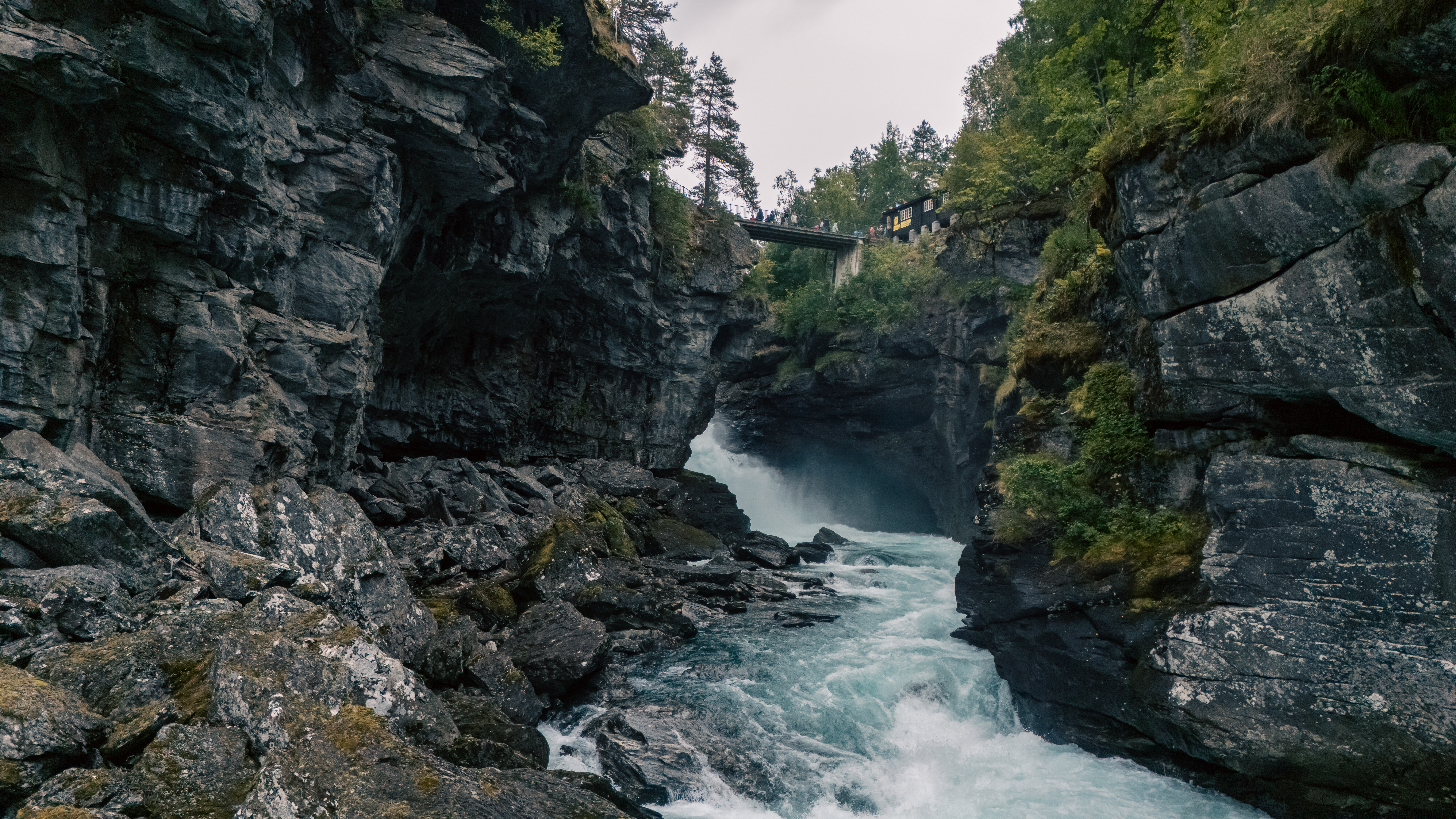 Natur